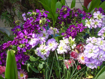 花
