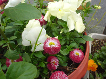 花